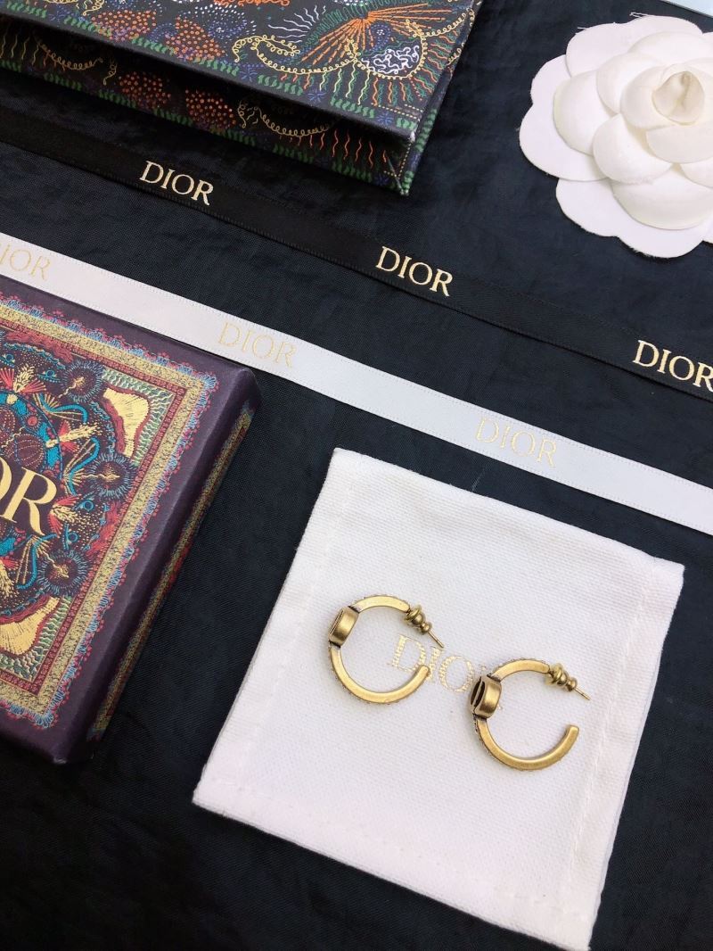 Christian Dior Earrings